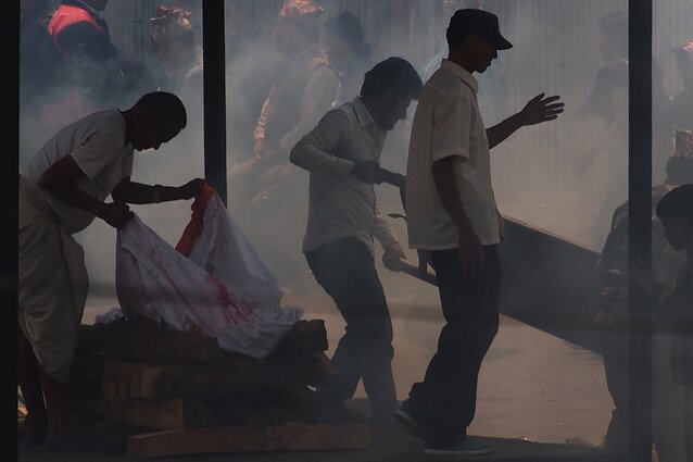 Algirdo Šeškaus nuotrauka