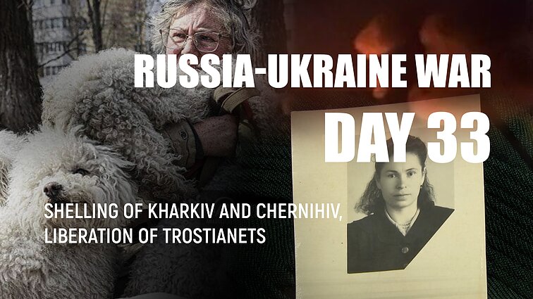 Day 33 of invasion. Russian army shells Kharkiv school from multiple rocket launchers