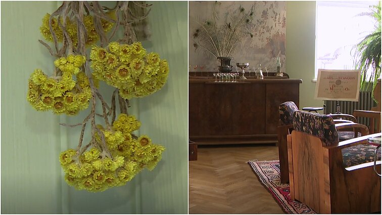 Gyvenk kaip galima švariau. Art deco stiliaus butas Kaune ir botanikas, puoselėjantis dažymo augalais tradiciją