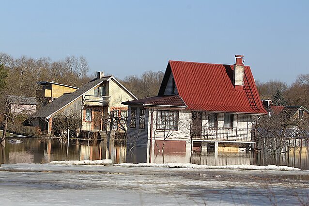 Vartotojų kontrolė. Namo statybą sodo sklype vertina ekspertai ir naujausios desertų tendencijos