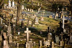 Bernardine cemetery