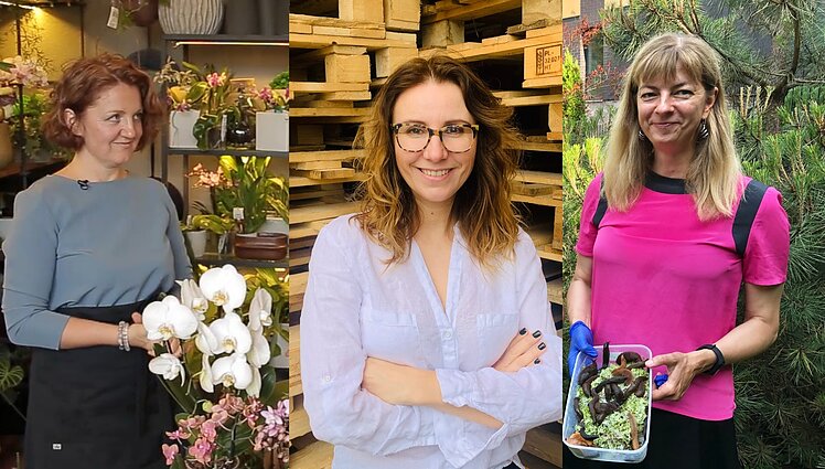 Čia mano sodas. Invaziniai šliužai, naujausios bulvių veislės ir orchidėjos