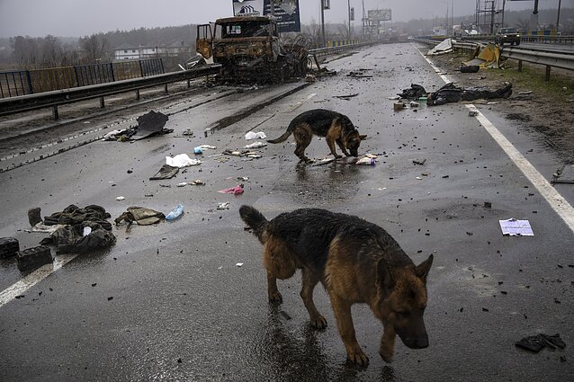 Rusijos karas Ukrainoje