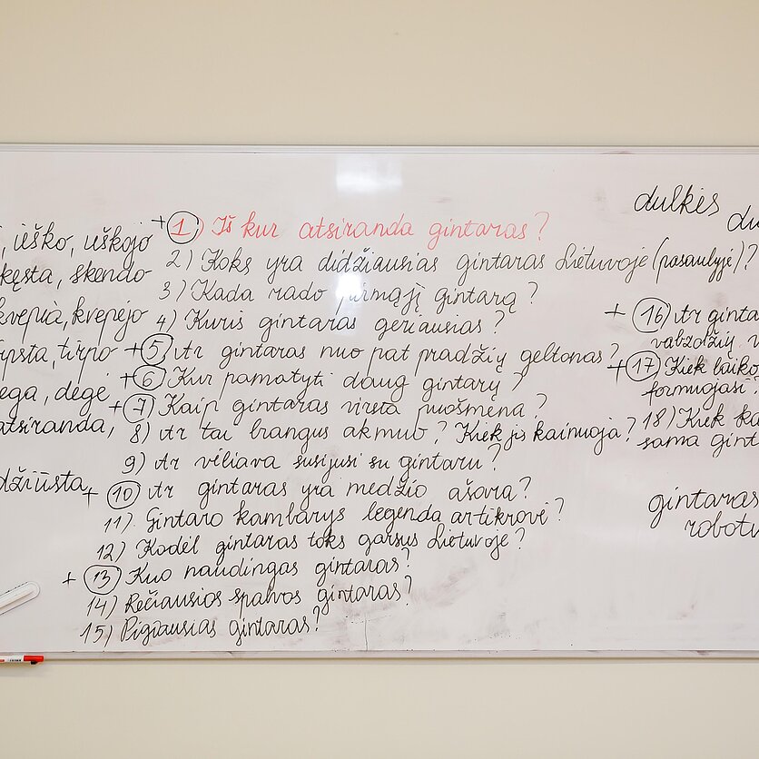 E. Genio/LRT nuotr., Lietuvių kalbos ir kultūros vasaros kursai emigrantams