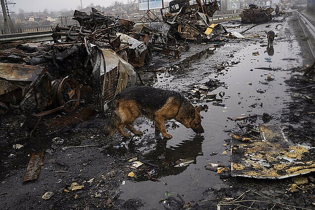 Žinios. Ukrainos žvalgyba paskelbė sąrašą Rusijos karių, kurie vykdė karo nusikaltimus Bučoje