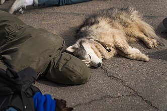 Protestas prieš Vokietijos ambasadą