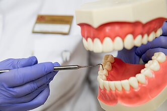 Dental services Dental services