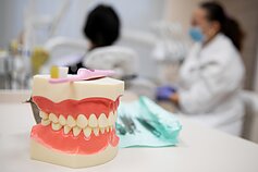 Odontologijos paslaugos Odontologijos paslaugos