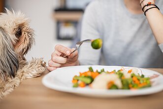 Dieta, asociatyvi nuotr. 