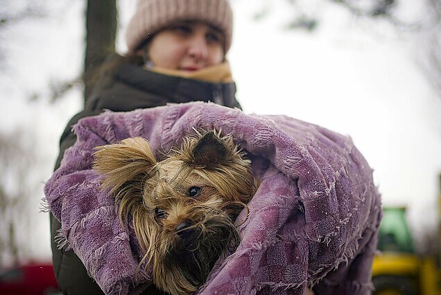 Vartotojų kontrolė. Druskos poveikis organizmui bei pagalba gyvūnams iš Ukrainos