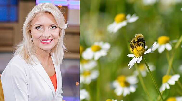 Natūrali vaistinėlė sode: žolininkė pristato vaistažoles, kurias galima užsiauginti darže ar sode