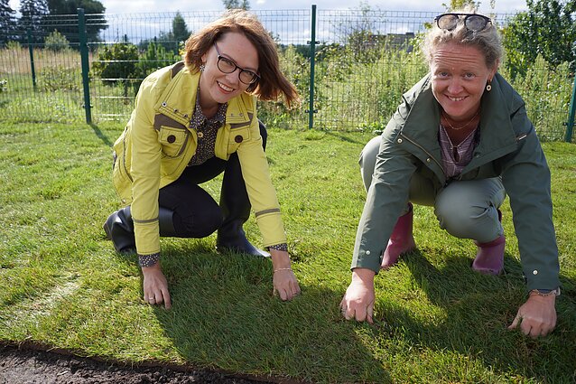 Čia mano sodas. Ruloninė veja, daugiamečių gėlių kompozicijos saulėtam balkonui bei pavėsiui ir sezoniniai darbai