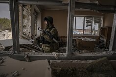 Ukrainos karys