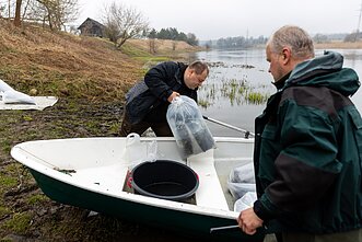 Į Nerį buvo įveisti 50 tūkst. unguriukų. Ties Čiobiškio keltu, Kaišiadorių rajono Padalių kaime Į Nerį buvo įveisti 50 tūkst. unguriukų. Ties Čiobiškio keltu, Kaišiadorių rajono Padalių kaime