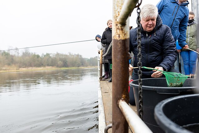 Į Nerį buvo įveisti 50 tūkst. unguriukų; Kęstutis Navickas Į Nerį buvo įveisti 50 tūkst. unguriukų; Kęstutis Navickas