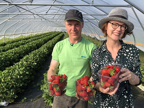 Čia mano sodas. Kiemas gražus visais metų laikais, gausesnis braškių derlius su frigo daigais ir neįprastų spalvų daržovės
