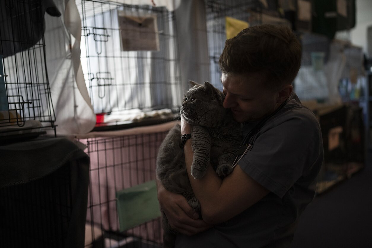 Iš Ukrainos išgelbėti gyvūnai