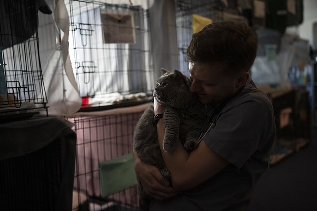 Iš Ukrainos išgelbėti gyvūnai