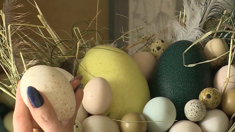 Ant šimtus paukščių auginančių Krasauskų stalo – natūraliai margi kiaušiniai ir Velykos ištisus metus