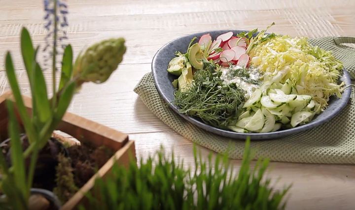 Gaivus pavasario skonis: maistingos ir itin traškios šviežių kopūstų salotos