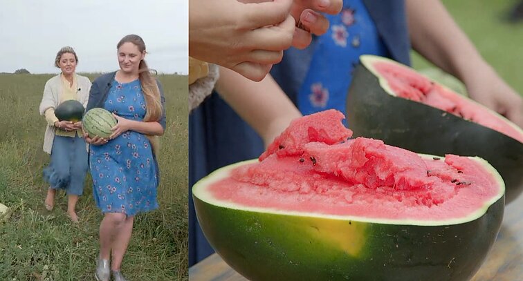 Vienkiemyje netoli Kauno – arbūzų karalystė: specialistė pataria, kaip užsiauginti skaniausius ir didžiausius arbūzus