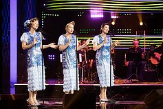 „The Ditties“