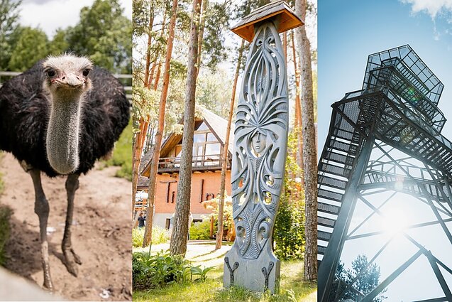 Veiklos Ignalinoje ir jos apylinkėse Veiklos Ignalinoje ir jos apylinkėse
