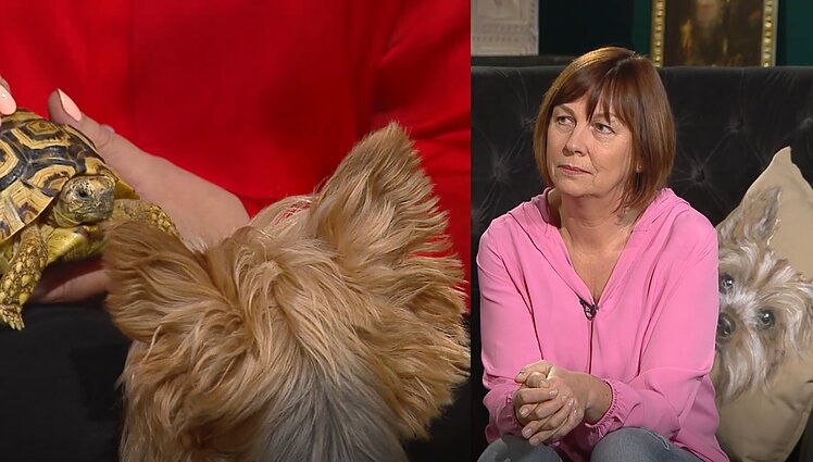 Langas į valdžią. Žalia šviesa Paksui, pavojinga animacija ir Mešką sudominęs LRP buvusios patarėjos vėžlys