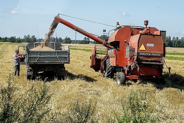 Dienos tema. Ukrainos žemės ūkio ministras: orientuojamės, kad derliaus turėsime perpus tiek, kiek pernai