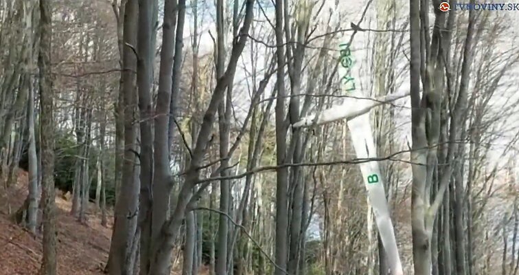 Tragiškos nelaimės, kurios metu žuvo D. Žostautas, vieta Tragiškos nelaimės, kurios metu žuvo D. Žostautas, vieta