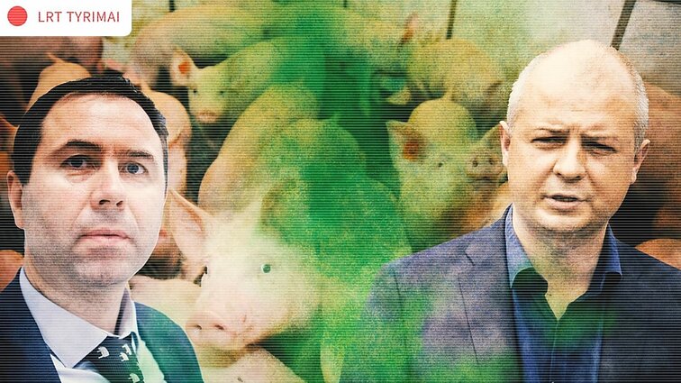 Žinios. LRT tyrimas. Aplinkos ministerija gamintojams leido nemažinti amoniako taršos: pataisų siekė kiaulių augintojai