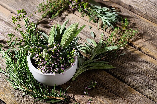 Dovanos iš gamtos: kokie pavasariniai augalai gali padėti ir susirgus, ir profilaktiškai?