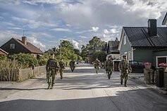 Švedijos karinės pajėgos Gotlando saloje