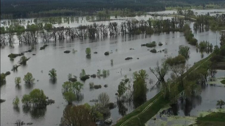 Žinios. Ukrainiečiai kaimą užtvindė vandeniu, kad išvengtų rusų puolimo: taip sulėtino ir pajėgų veržimąsi į Kyjivą