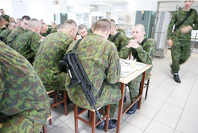Suomijos gynybos ministerijos brigados generolas: jei kils karinis konfliktas, reikės visos visuomenės pagalbos