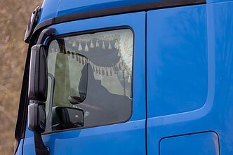 Vilkikas. Asociatyvi nuotr.