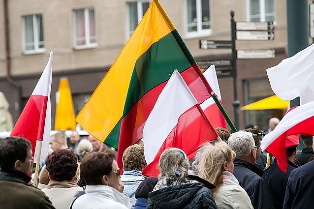 Politologė apie siūlymą vietoje darbo dienos švęsti Konstitucijos dieną: sprendimai neturėtų būti priimami karštligiškai