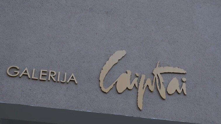 Šiaulių „Laiptų galerijos" 30-metis