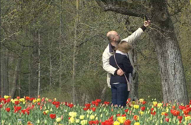 Labas rytas, Lietuva! Šeštadienis. II d. Burbiškio dvare – tulpių žydėjimo šventė