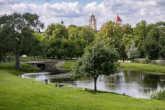 Vilniaus gamta Vilniaus gamta