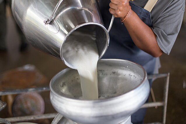 Dairy (associative image) Dairy (associative image)