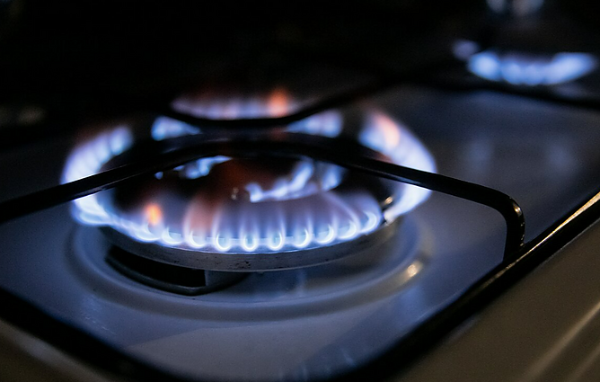 Žinios. Seimas nusprendė – nuo liepos elektros ir gamtinių dujų kainos bus kompensuojamos