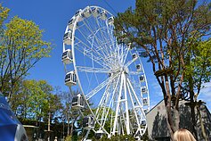 Palangos apžvalgos ratas