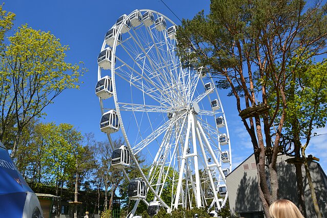 Palangos apžvalgos ratas