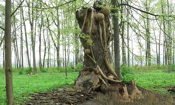 Legendomis apipintas Joniškėlio dvaras: aplinką papuošė žemės meno kūriniai