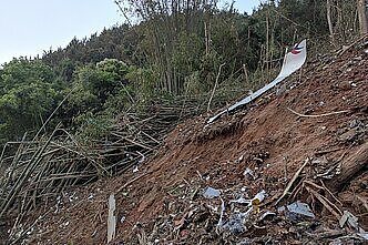 Žinios. Žiniasklaida praneša, kad Kinijos lėktuvo sudužimas įvykdytas tyčia