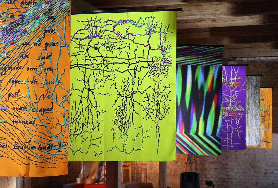 Audrius Plioplys' NeuroArt Audrius Plioplys' NeuroArt