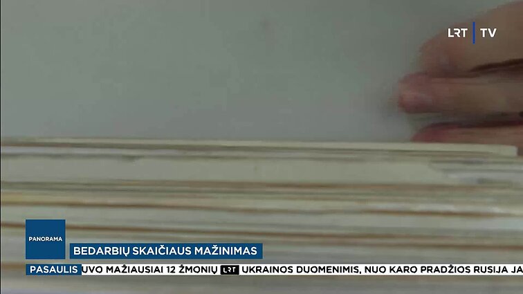 Pritarta užimtumo sistemos pertvarkai: bus padedama tik tiems, kurie nori įsidarbinti