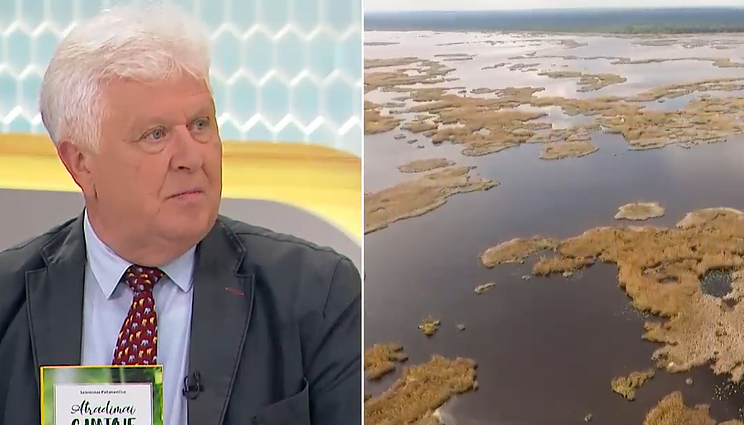 Gamtininkas Paltanavičius pristato naują knygą: neįmanoma aprašyti, kaip dilgina dilgėlė – tai reikia patirti