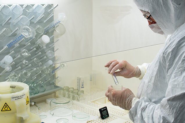 Beždžionių raupų tyrimas